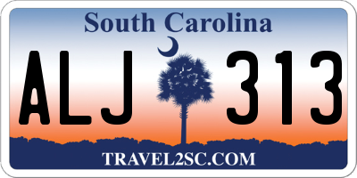 SC license plate ALJ313