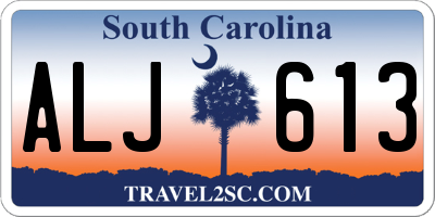 SC license plate ALJ613