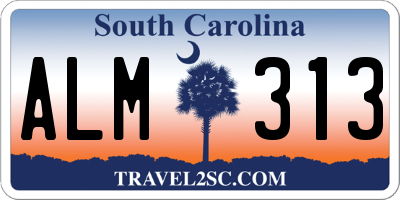 SC license plate ALM313