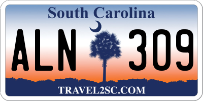 SC license plate ALN309