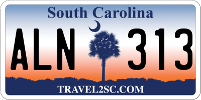 SC license plate ALN313