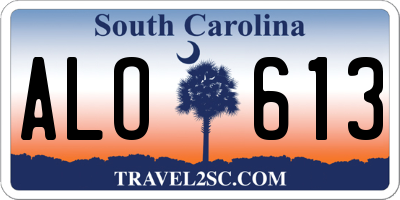 SC license plate ALO613