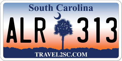 SC license plate ALR313