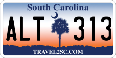 SC license plate ALT313