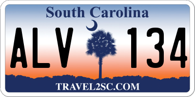 SC license plate ALV134