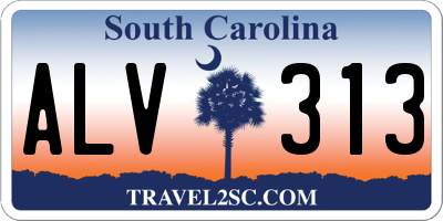 SC license plate ALV313