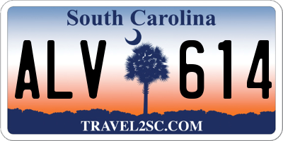 SC license plate ALV614