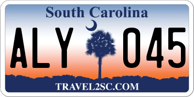 SC license plate ALY045
