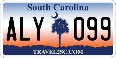 SC license plate ALY099