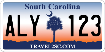 SC license plate ALY123