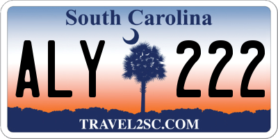 SC license plate ALY222