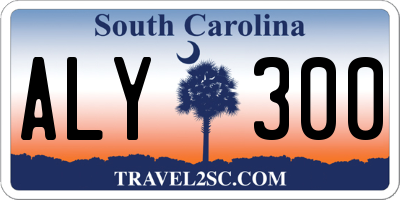 SC license plate ALY300