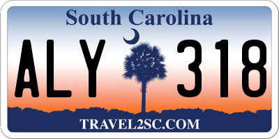 SC license plate ALY318