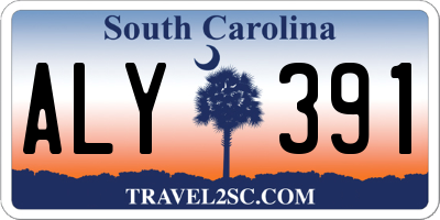 SC license plate ALY391