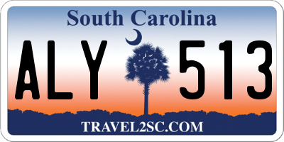 SC license plate ALY513