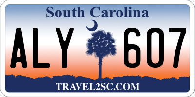 SC license plate ALY607