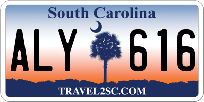 SC license plate ALY616