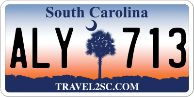 SC license plate ALY713