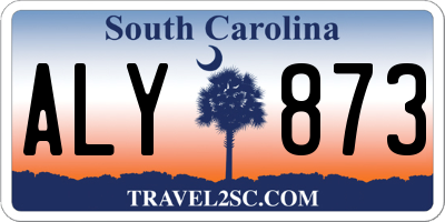 SC license plate ALY873