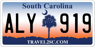 SC license plate ALY919