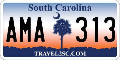 SC license plate AMA313