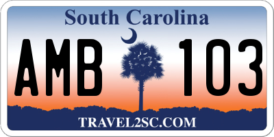SC license plate AMB103