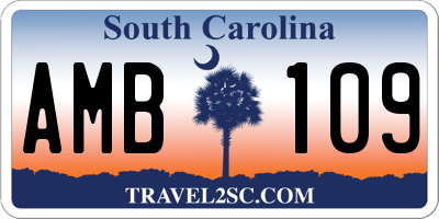 SC license plate AMB109