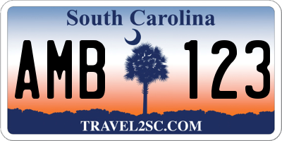 SC license plate AMB123