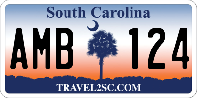 SC license plate AMB124
