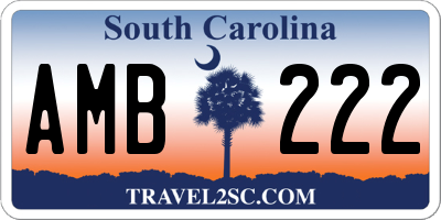 SC license plate AMB222
