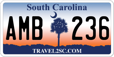 SC license plate AMB236