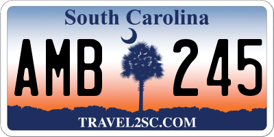 SC license plate AMB245