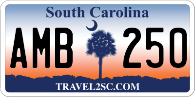 SC license plate AMB250