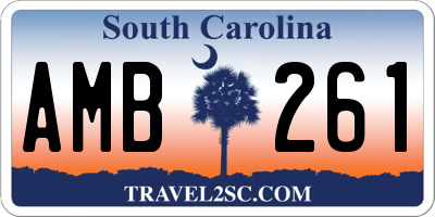 SC license plate AMB261