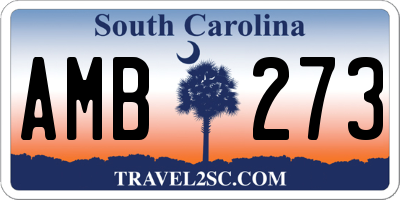 SC license plate AMB273