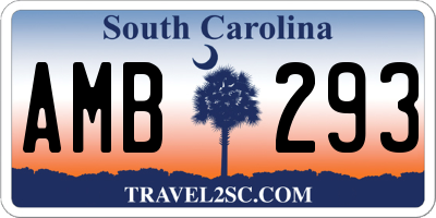 SC license plate AMB293