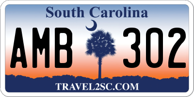 SC license plate AMB302