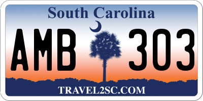 SC license plate AMB303