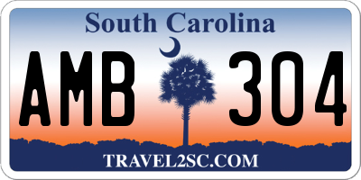 SC license plate AMB304