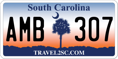 SC license plate AMB307