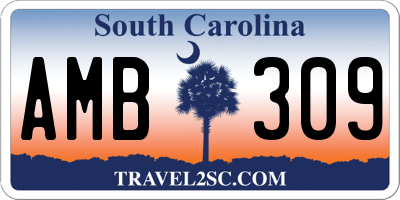 SC license plate AMB309