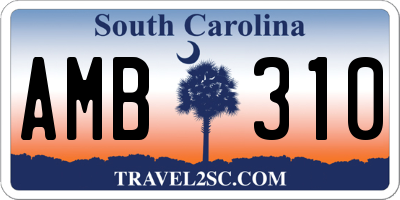 SC license plate AMB310