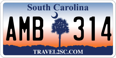 SC license plate AMB314