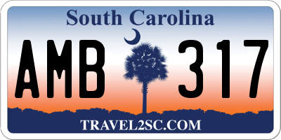 SC license plate AMB317