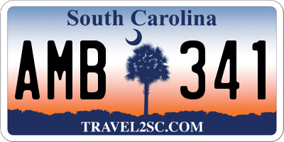 SC license plate AMB341