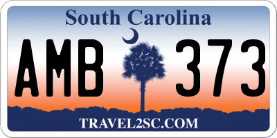 SC license plate AMB373