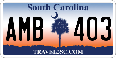 SC license plate AMB403