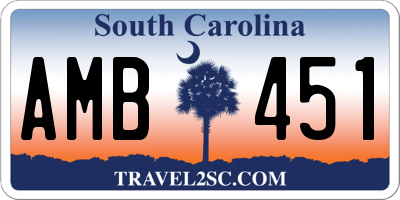 SC license plate AMB451