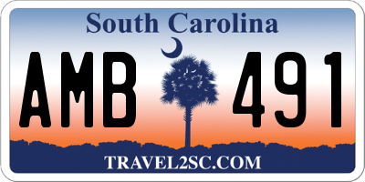 SC license plate AMB491