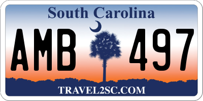 SC license plate AMB497